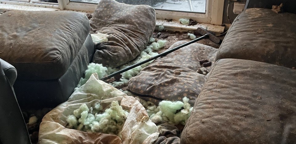 Three dogs were found living amongst faeces, smashed glass and broken furniture in a "squalid" Scottish flat - their owner has been banned from keeping animals for five years.