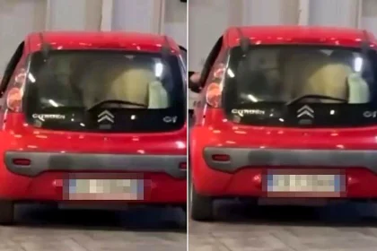 A driver has been reported to police after allegedly taking a ferry in Italy with a PONY crammed into the boot of their Citroën C1 during a sweltering hour-long crossing.