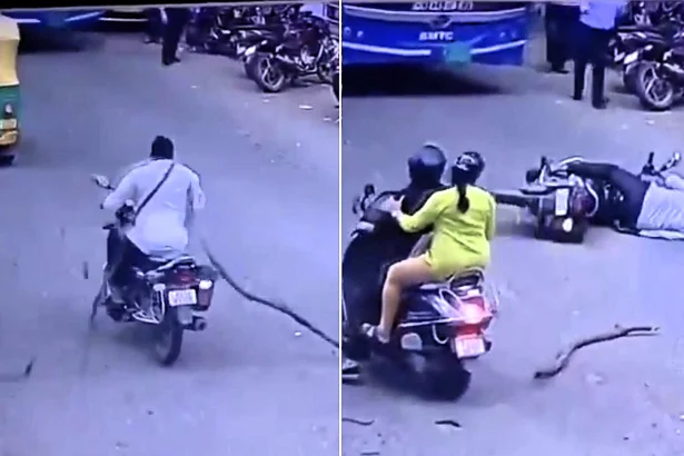 A helmetless motorcyclist was left in a coma after a tree branch snapped off and crashed onto him as he rode along a busy road in Bengaluru, India.