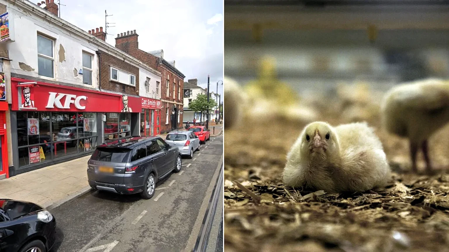 PETA wants to turn a former KFC in Fleetwood, Lancashire, into the world's first 'Chicken Empathy Museum' - complete with slaughterhouse equipment and a chicken mascot.