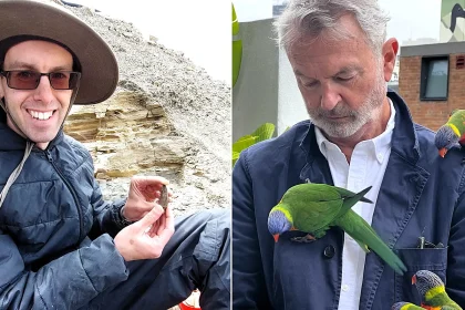 Palaeontologist reveals how Sam Neill's role as Dr Alan Grant in Jurassic Park inspired his career studying dinosaurs, as he pays tribute to the star who died aged 78.