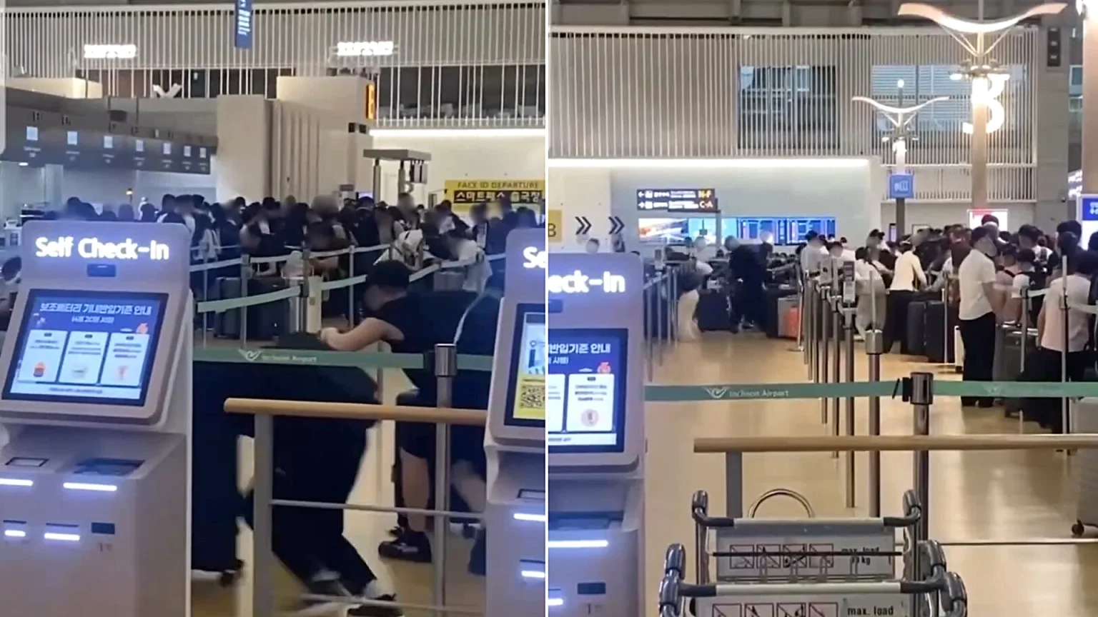 Chaos at Incheon Airport in South Korea as dozens of Chinese travellers duck under barriers and charge at check-in desks - injuring staff in the frantic queue-jumping surge.