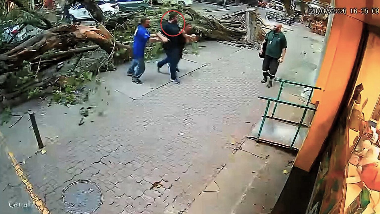 A pedestrian cheated death by inches when a huge tree toppled towards him during a violent windstorm in Rio de Janeiro - and a utility pole crashed down moments later too.