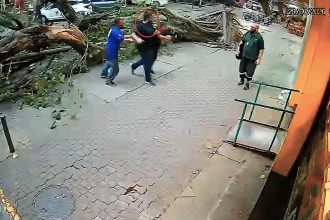 A pedestrian cheated death by inches when a huge tree toppled towards him during a violent windstorm in Rio de Janeiro - and a utility pole crashed down moments later too.