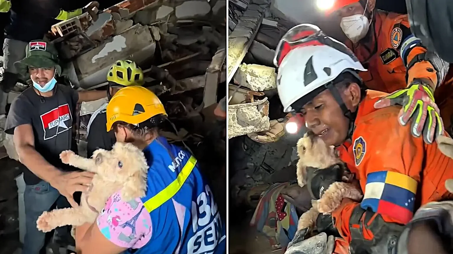 A dog named Giselle thanked her rescuers with kisses after they spent five painstaking hours digging her out from beneath earthquake rubble in Venezuela.