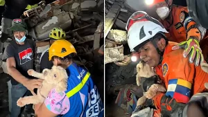 A dog named Giselle thanked her rescuers with kisses after they spent five painstaking hours digging her out from beneath earthquake rubble in Venezuela.