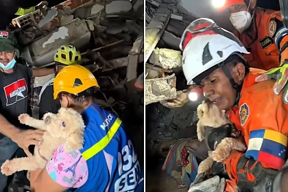 A dog named Giselle thanked her rescuers with kisses after they spent five painstaking hours digging her out from beneath earthquake rubble in Venezuela.