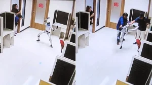 A "rogue" robot appeared to launch kung fu kicks at startled handlers on its first day at work in Jakarta - but the viral rampage was entirely staged.