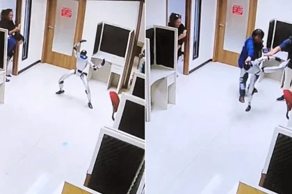 A "rogue" robot appeared to launch kung fu kicks at startled handlers on its first day at work in Jakarta - but the viral rampage was entirely staged.