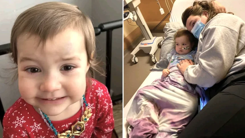 Mum thought her toddler's "terrible twos" meltdowns were down to her age - but a blood test revealed the two-year-old had an aggressive form of blood cancer.