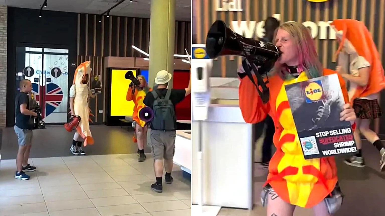 Protesters dressed as shrimp stormed Lidl's UK HQ, accusing the retailer of "mutilating" and "torturing" the animals over practices in the global shrimp supply chain.