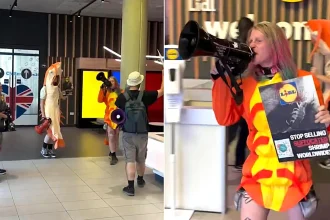 Protesters dressed as shrimp stormed Lidl's UK HQ, accusing the retailer of "mutilating" and "torturing" the animals over practices in the global shrimp supply chain.