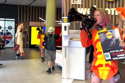 Protesters dressed as shrimp stormed Lidl's UK HQ, accusing the retailer of "mutilating" and "torturing" the animals over practices in the global shrimp supply chain.