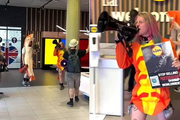 Protesters dressed as shrimp stormed Lidl's UK HQ, accusing the retailer of "mutilating" and "torturing" the animals over practices in the global shrimp supply chain.