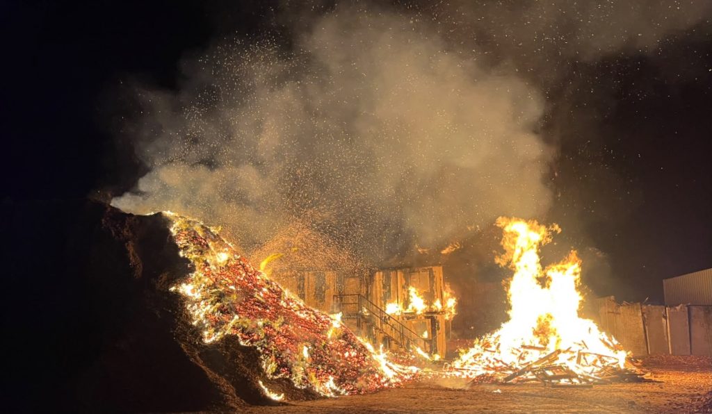 Firefighters from five stations battled a raging inferno as 200 tons of wood erupted into flames near Taunton during Britain's scorching summer heatwave.