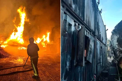 Firefighters from five stations battled a raging inferno as 200 tons of wood erupted into flames near Taunton during Britain's scorching summer heatwave.