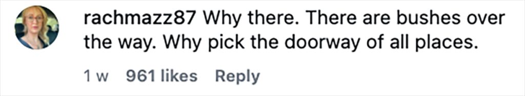 A Scots restaurant owner has hit out after a group of punters were caught on CCTV allegedly using the front entrance of his venue as a toilet.