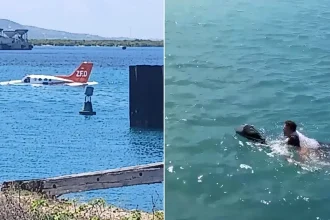 A ZED Airlines Cessna ditched in the sea off Haiti - the pilot and two passengers had to swim to shore, with the airline crediting quick action for avoiding tragedy.