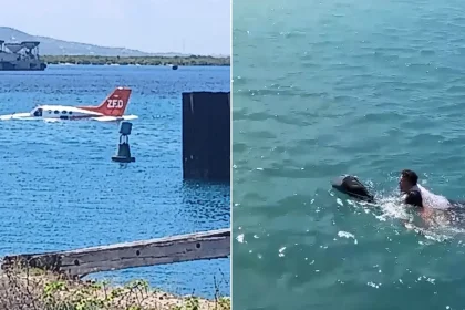 A ZED Airlines Cessna ditched in the sea off Haiti - the pilot and two passengers had to swim to shore, with the airline crediting quick action for avoiding tragedy.