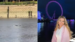 Londoner spots dolphin swimming in the Thames during a run, sparking viral TikTok fame - but the animal was tragically found dead days later.
