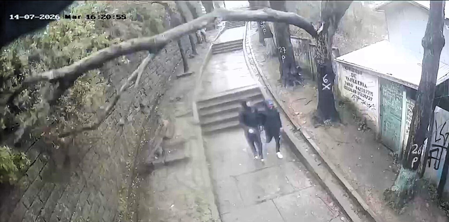 A 14-year-old boy was knocked out by a huge falling branch during severe storms in Lota, Chile, where officials say 507 trees are at risk of falling.
