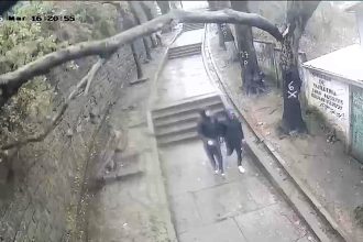 A 14-year-old boy was knocked out by a huge falling branch during severe storms in Lota, Chile, where officials say 507 trees are at risk of falling.