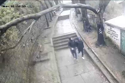 A 14-year-old boy was knocked out by a huge falling branch during severe storms in Lota, Chile, where officials say 507 trees are at risk of falling.