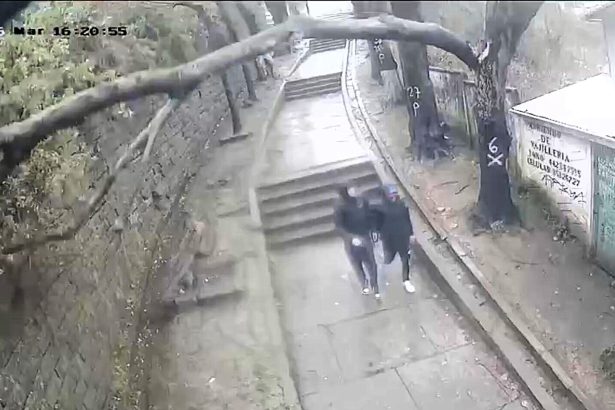 A 14-year-old boy was knocked out by a huge falling branch during severe storms in Lota, Chile, where officials say 507 trees are at risk of falling.