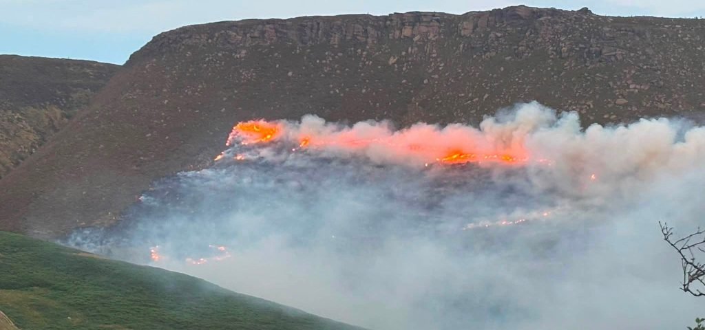 Firefighters from five stations battled a raging inferno as 200 tons of wood erupted into flames near Taunton during Britain's scorching summer heatwave.