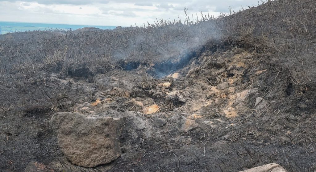 Firefighters from five stations battled a raging inferno as 200 tons of wood erupted into flames near Taunton during Britain's scorching summer heatwave.