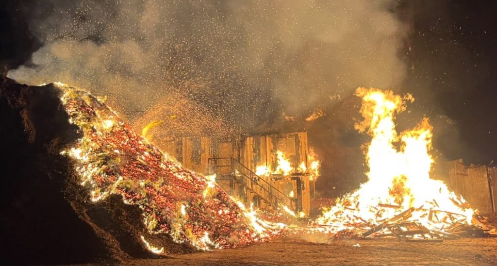 Firefighters from five stations battled a raging inferno as 200 tons of wood erupted into flames near Taunton during Britain's scorching summer heatwave.