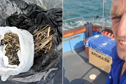 A boat skipper was stunned after hauling in a floating bin bag off the coast of Devon - only to find it stuffed full of cannabis leaves, which he handed to police.