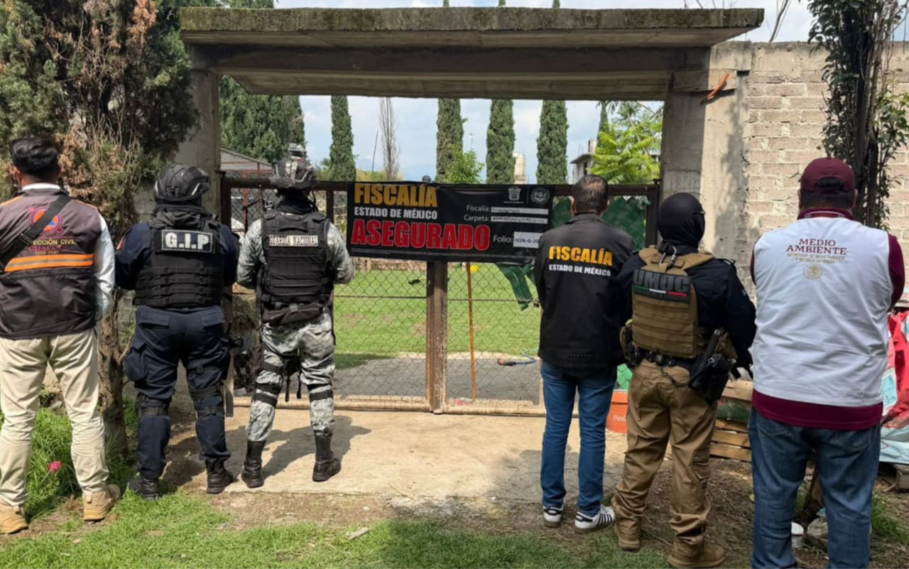 A white tiger cub, an African lion and other exotic animals have been rescued from a grim illegal zoo in Mexico, with one man arrested over trafficking.