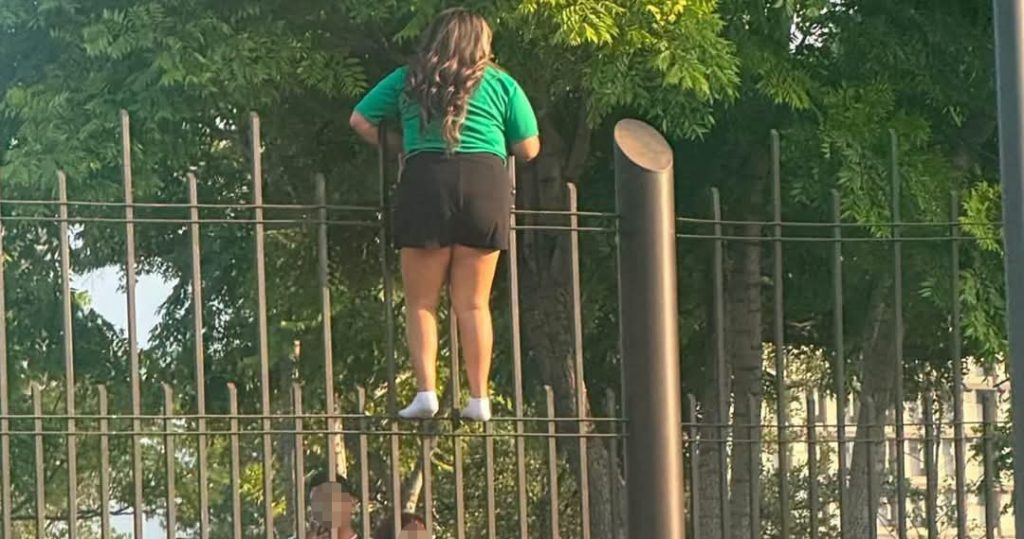 A Mexico fan had to be rescued by a crane after getting stuck halfway up a 13ft fence while trying to sneak into a sold-out World Cup fan area in Monterrey.