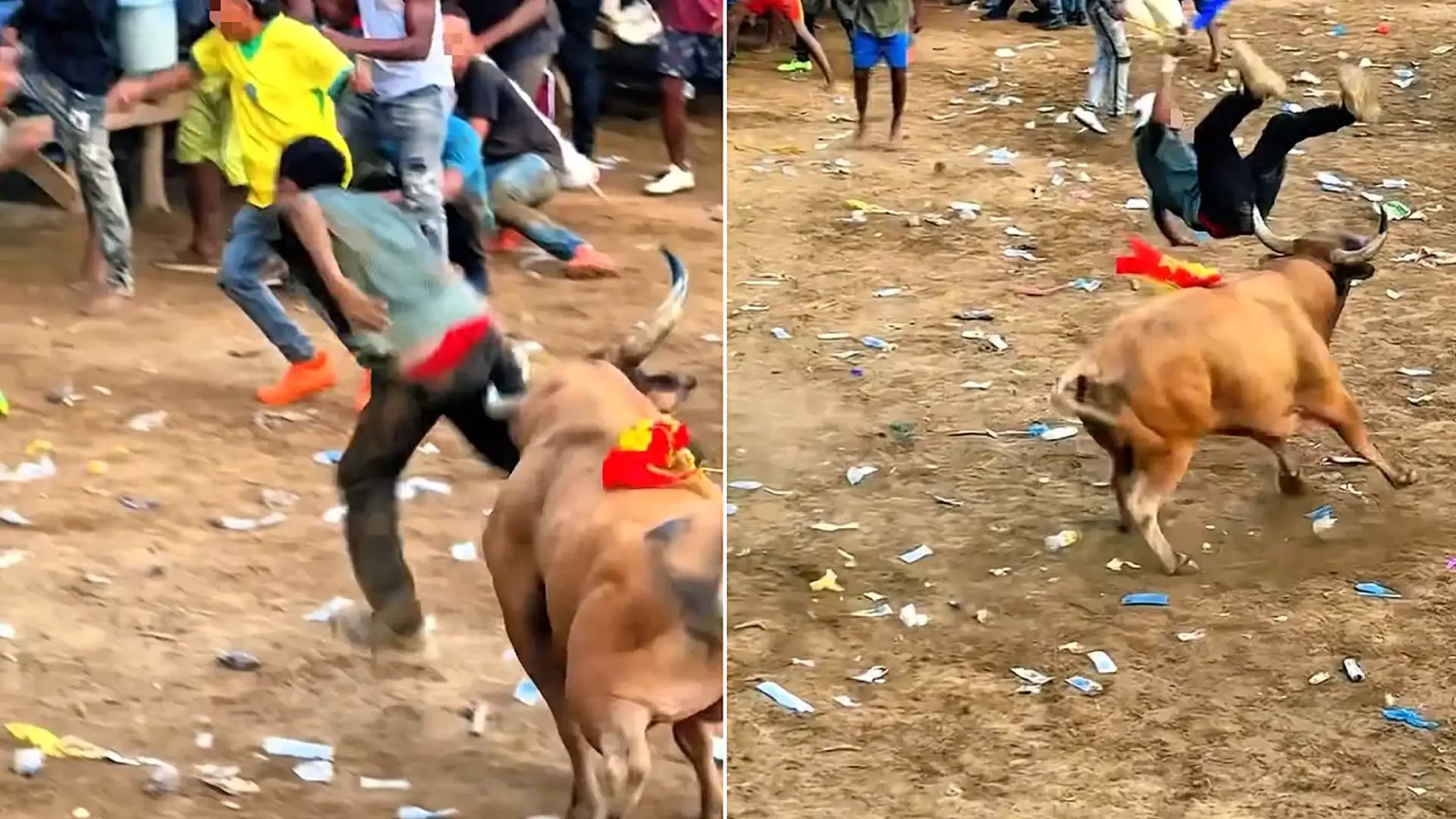 An amateur bullfighter was left facing complex reconstructive surgery after being gored in the rectum and trampled during a traditional Colombian bull event.