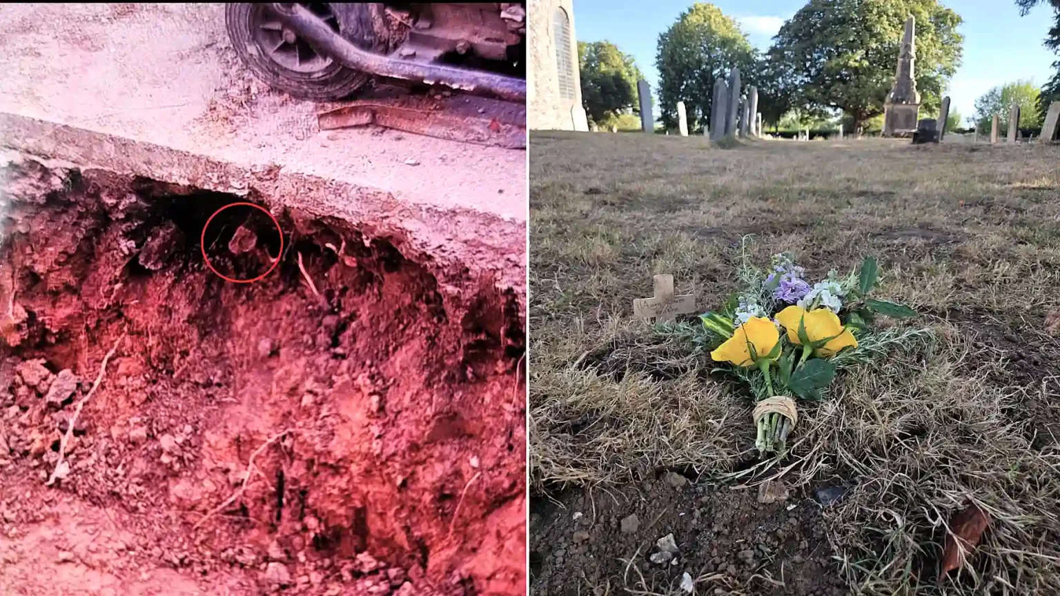 Ancient bones dug up by a couple renovating their patio have finally been laid to rest - after the 1,000-year-old remains turned their home into a crime scene.