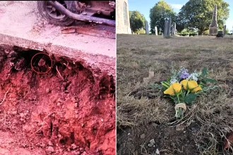 Ancient bones dug up by a couple renovating their patio have finally been laid to rest - after the 1,000-year-old remains turned their home into a crime scene.