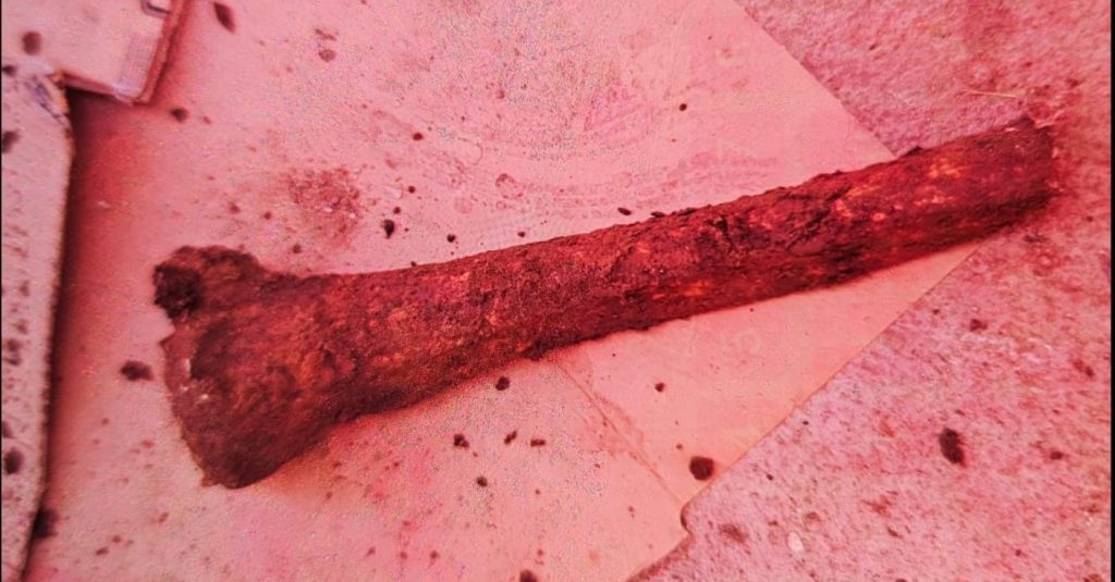 Ancient bones dug up by a couple renovating their patio have finally been laid to rest - after the 1,000-year-old remains turned their home into a crime scene.