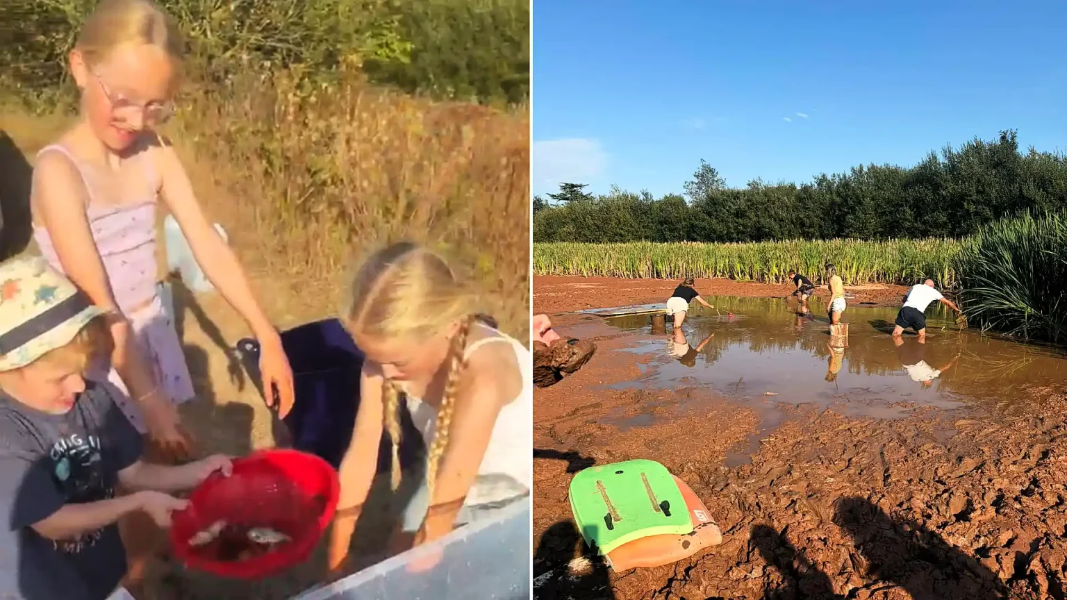 Heroic Brits have formed a human chain to save hundreds of fish from a rapidly drying Exeter pond, while slamming the local government for its lack of action.