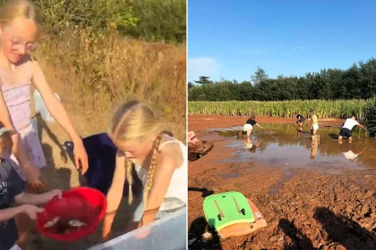 Heroic Brits have formed a human chain to save hundreds of fish from a rapidly drying Exeter pond, while slamming the local government for its lack of action.