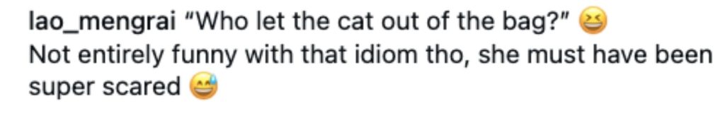 A motorcyclist was left distraught after her pet cat escaped from her backpack on a busy highway - coming within inches of being hit by a lorry.