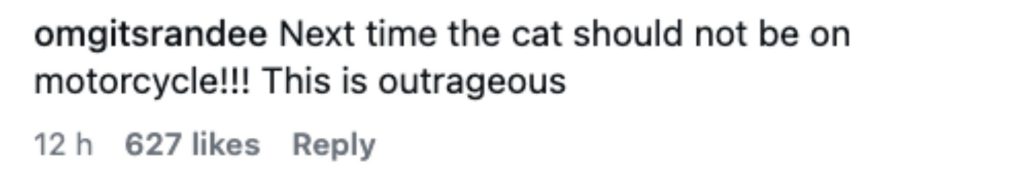 A motorcyclist was left distraught after her pet cat escaped from her backpack on a busy highway - coming within inches of being hit by a lorry.