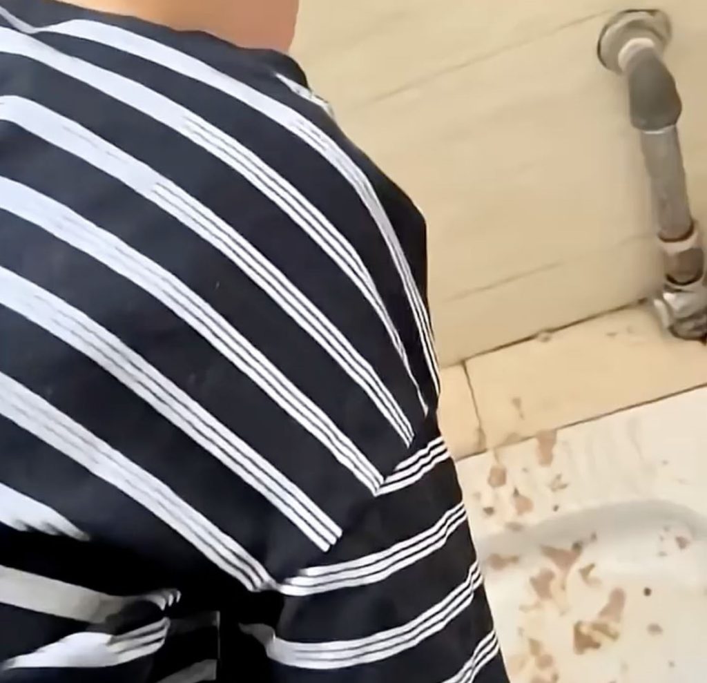 A family in China were horrified to find what looked like a dead bat in their restaurant meal - and their young son was rushed to hospital vomiting after eating.