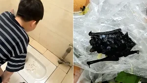 A family in China were horrified to find what looked like a dead bat in their restaurant meal - and their young son was rushed to hospital vomiting after eating.