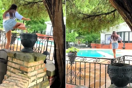 Tourist slammed as 'disrespectful' after hopping a fence and jumping into Elvis Presley's Graceland pool - which hasn't been swum in since 1977.