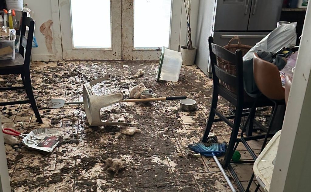Dozens of animals have been rescued from deeply disturbing conditions after rescuers found filthy pens littered with faeces, bones and the remains of other animals.
