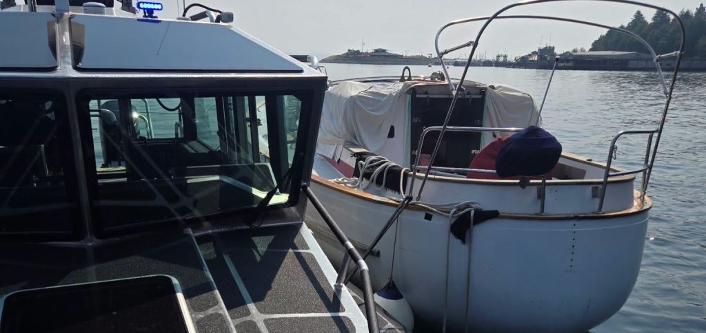 A boat reported for improper lighting turned out to hide an extraordinary secret - more than 30 cats and kittens living aboard, sparking a two-day rescue operation.