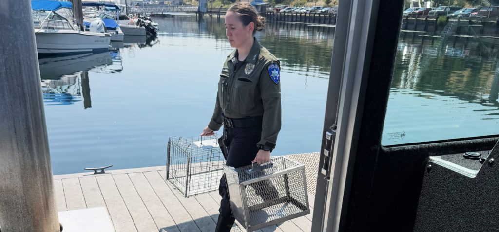 A boat reported for improper lighting turned out to hide an extraordinary secret - more than 30 cats and kittens living aboard, sparking a two-day rescue operation.