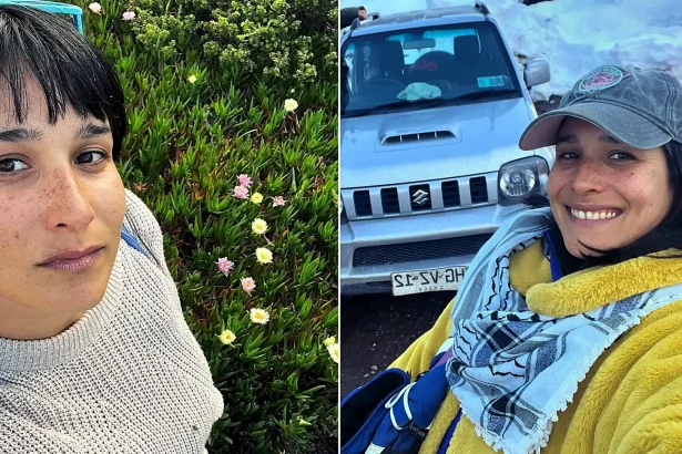 A filmmaker has died after being hit by a car while getting her beloved dog out of danger in the road - the driver allegedly fled the scene.