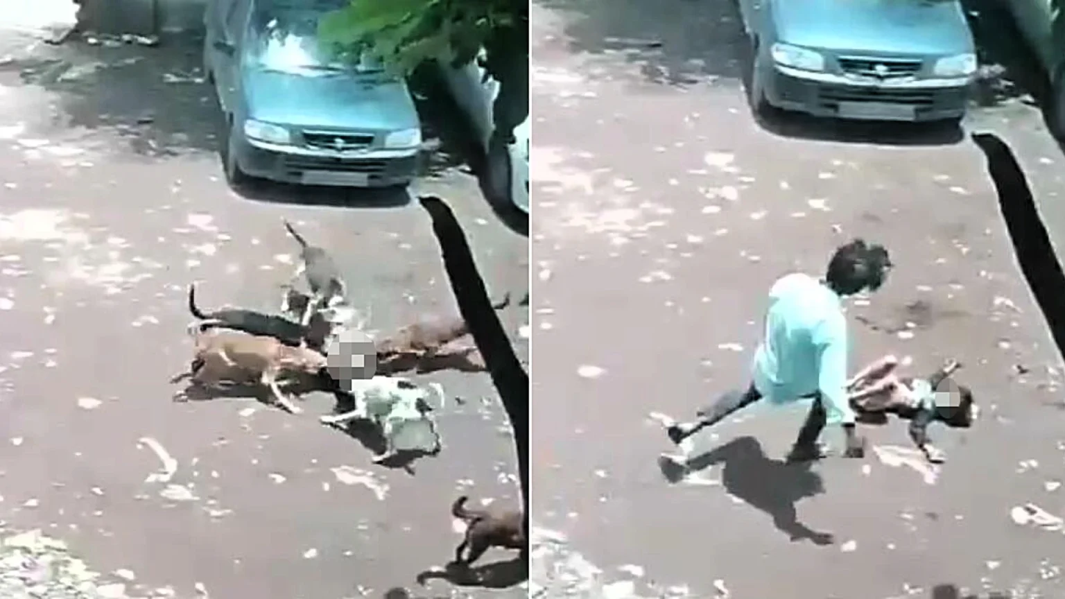 A four-year-old girl needed more than 80 stitches to her head after she was attacked by seven stray dogs in a horrifying 40-second mauling caught on CCTV in western India.
